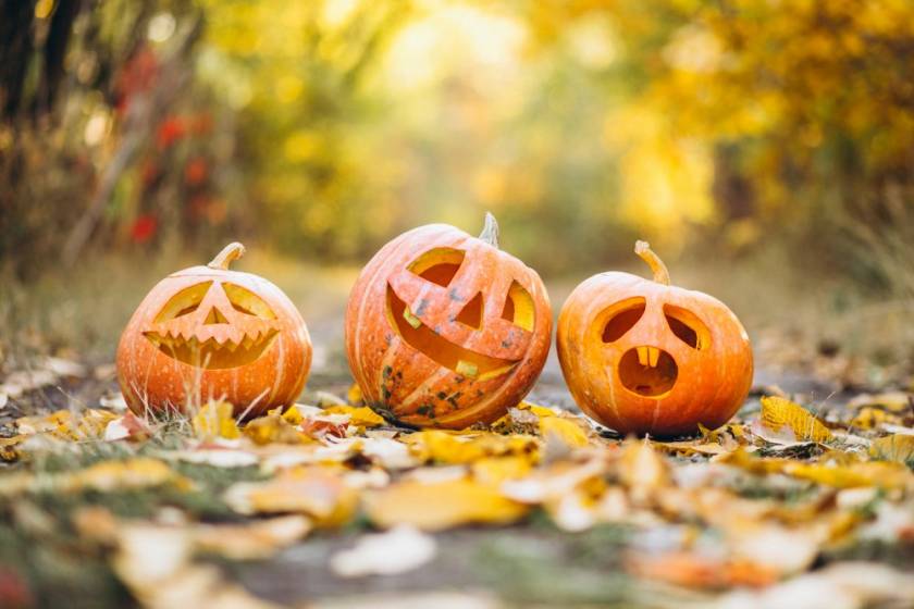 Close up of three pumpkins.